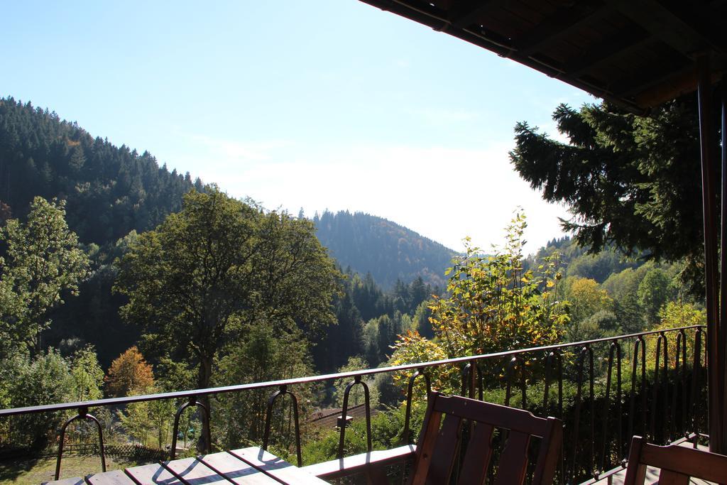 Schoene Aussicht Sankt-Andreasberg Extérieur photo