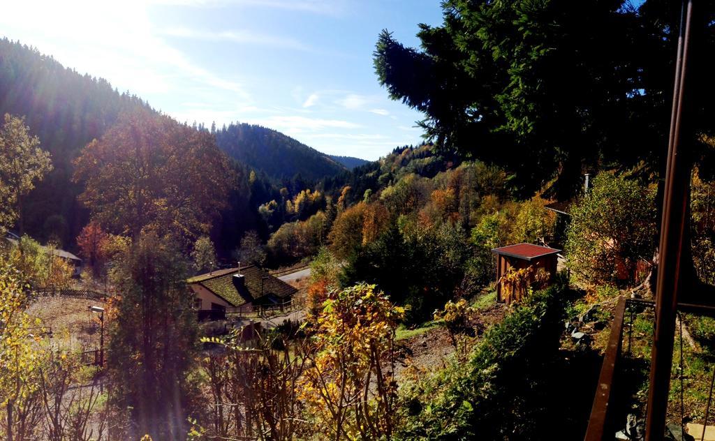 Schoene Aussicht Sankt-Andreasberg Extérieur photo