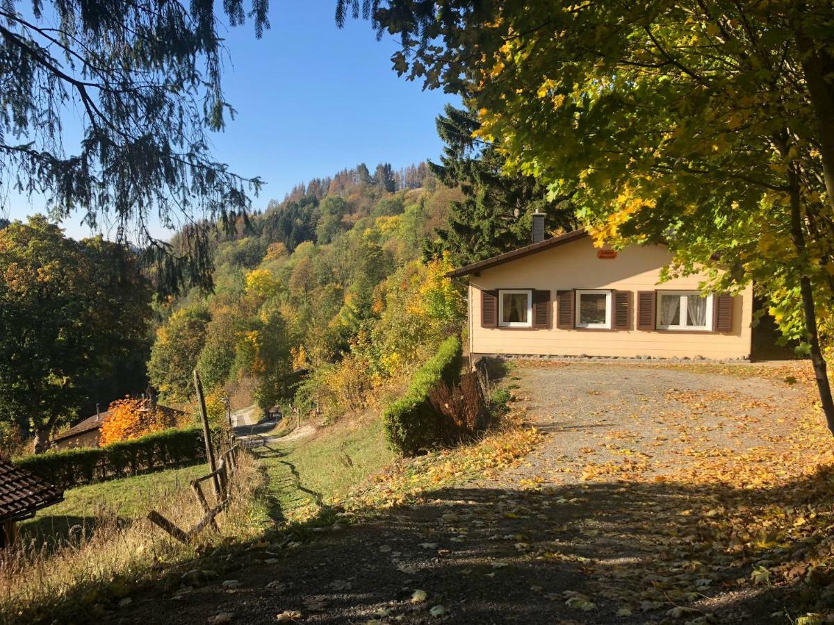 Schoene Aussicht Sankt-Andreasberg Extérieur photo